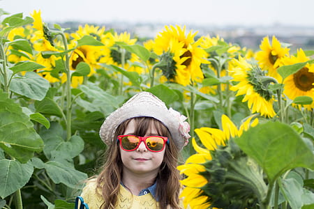girl standing on sunflower fields during daytime thumbnail