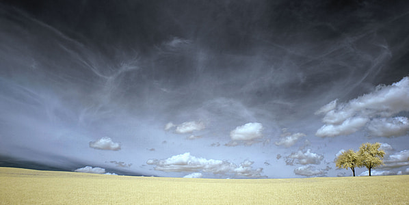 landscape photo of field under humid weather thumbnail