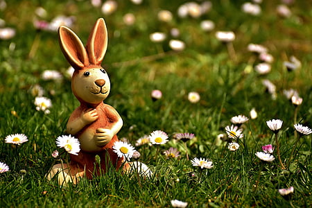 photography of brown rabbit figurine near daisy flowers field during daytime thumbnail