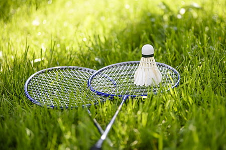 two blue-and-white badminton rackets and shuttlecock on grass thumbnail