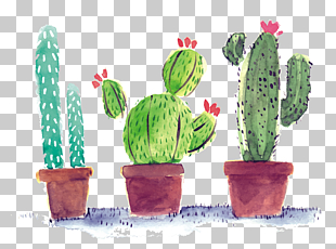 Cactaceae Poster, Watercolor cactus, three green cactus plants illustration PNG clipart