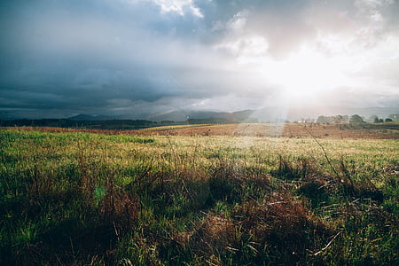 green grass field thumbnail