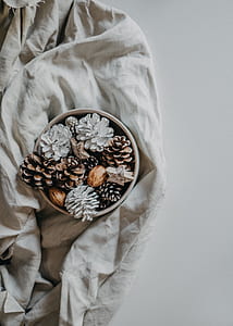 white and brown pine cones with container thumbnail