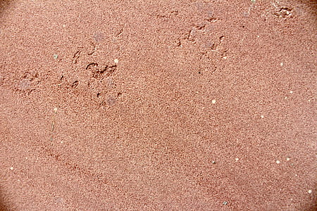 nature, sand, environment thumbnail