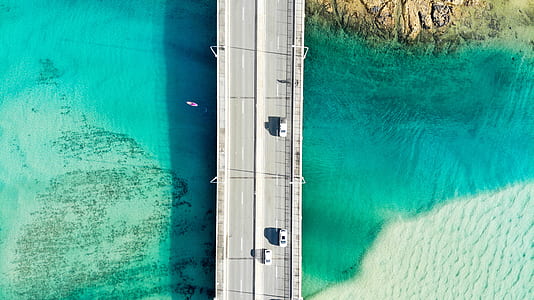 bird's-eye view photography of bride thumbnail