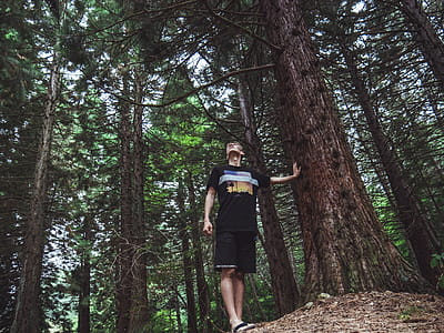 Man Wearing Black Shirt Touches Tree Trnk thumbnail