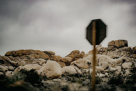 brown rocks near plants under cloudy sky during daytime thumbnail