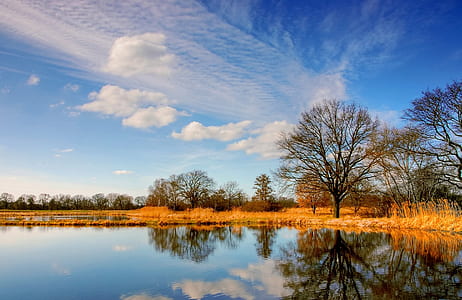 lake near trees under blue sky during daytime thumbnail