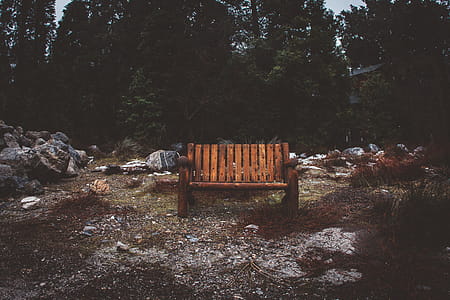 Brown Wooden Park Bench thumbnail