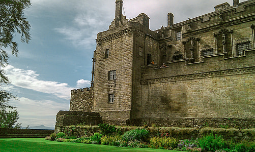 beige castle near tree during daytime thumbnail