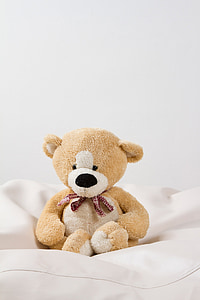 brown bear plush toy thumbnail