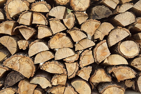 file of fire woods thumbnail