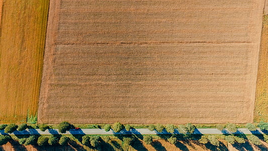 aerial photography of lawn thumbnail
