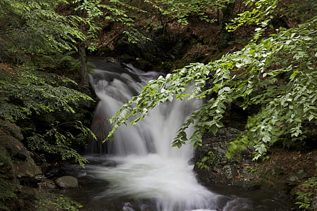 stream, waterfall thumbnail