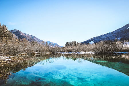 swamp lake during daytime thumbnail