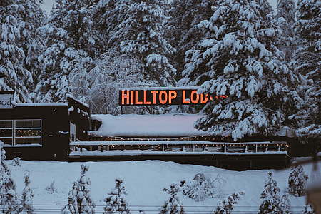 Neon Sign Snow Cabin thumbnail