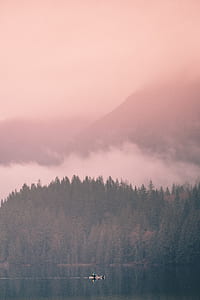 body of water with green trees during fog thumbnail