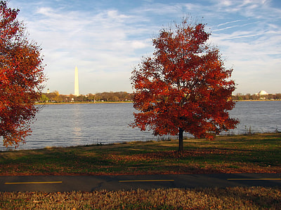 Washington Dc, Virginia thumbnail