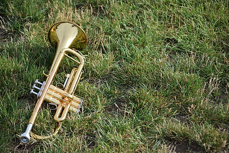 brass trumpet on grass thumbnail