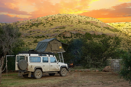 White Land Rover Defender in Jungle thumbnail