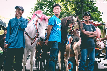 three men standing beside horses near trees during daytime thumbnail
