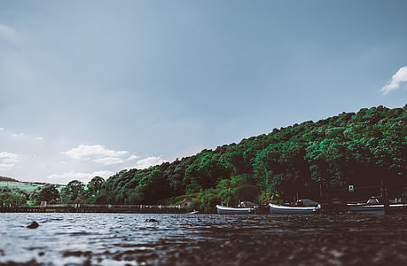 low angle photography of boats on body of water near green trees during clear sky thumbnail