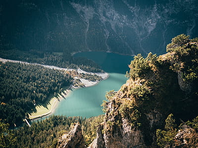 High-angle Photography of Trees Near Body of Water thumbnail