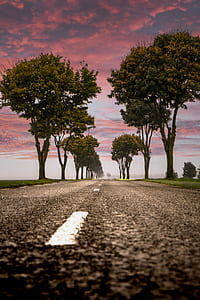 road near trees under cloudy sky thumbnail