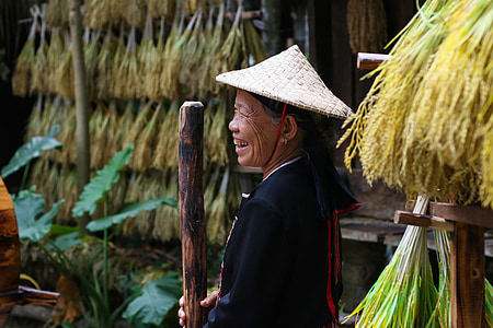 selective focus photography of smiling woman holding wooden pole at daytime thumbnail