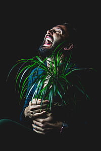 laughing man hugging green leaf plant on brown planter thumbnail