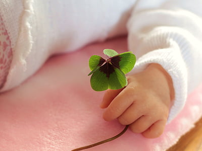 toddler holding green leaves thumbnail
