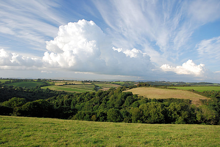 trees and grass under blue sky thumbnail