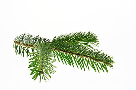 green leaves thumbnail