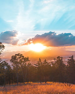 landscape photography of green trees near body of water during sunset thumbnail