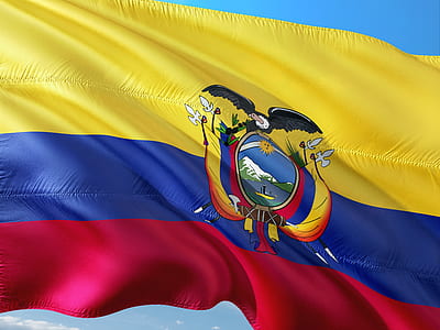 yellow, blue, and red flag in close-up photography thumbnail