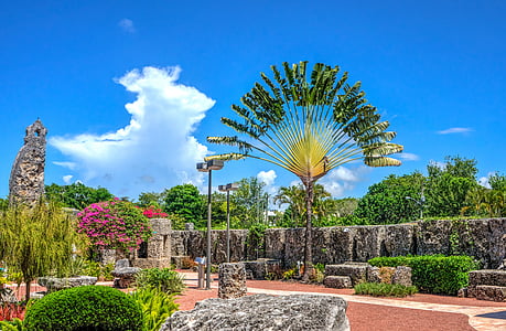 green trees under sunny sky thumbnail