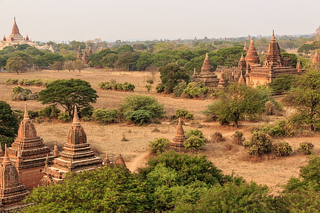 landmark surrounded by trees thumbnail