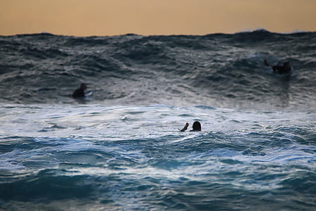 person swimming on ocean thumbnail
