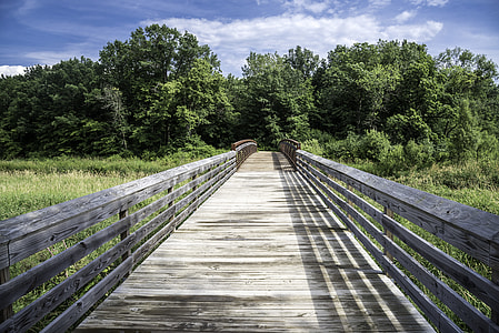 Bridge Path at Camrock County Park thumbnail