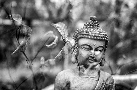 grayscale photo of Buddha statue thumbnail