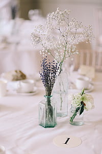 flowers in clear glass vase thumbnail