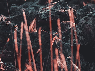 gray rocks close-up photo thumbnail
