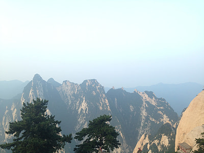 Pinus Armandii, The Scenery thumbnail