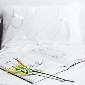 yellow flowers on opened white book thumbnail