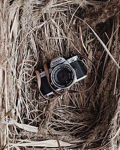 Black and Grey Nikon Camera in Brown Nest thumbnail