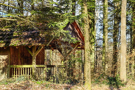 brown and black wooden shed near tree at daytime thumbnail