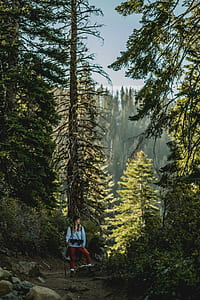 woman holding walking stick thumbnail