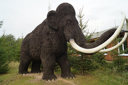 photo of black mammoth topiary thumbnail