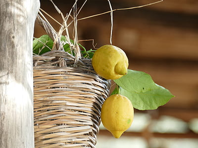 lemon on basket thumbnail