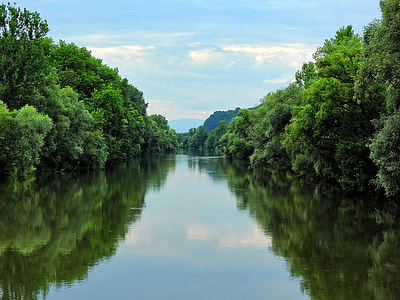 rippling body of water surrounded with trees thumbnail